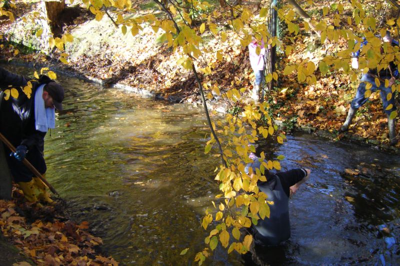 opkuis visput nov 2008 (5)